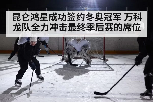 ice hockey arena action